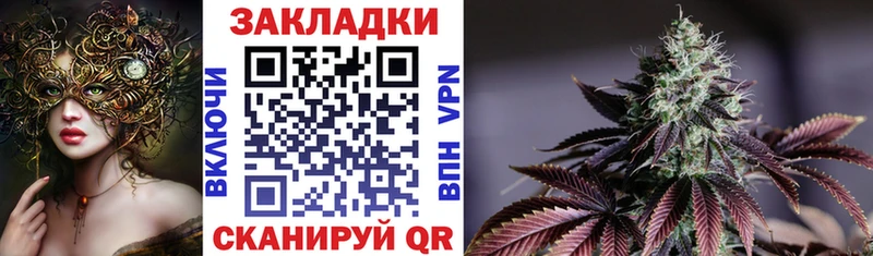 Купить закладку Грайворон Марихуана  APVP  ГАШ  Псилоцибиновые грибы  COCAIN  Мефедрон 
