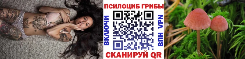 Галлюциногенные грибы Psilocybe  купить наркотик  Грайворон 