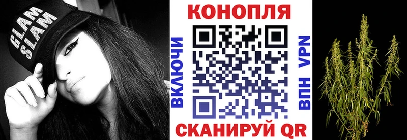 Шишки марихуана планчик  закладка  Грайворон 